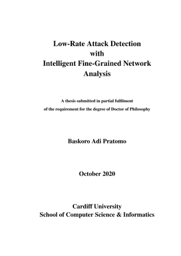 Low-Rate Attack Detection with Intelligent Fine-Grained Network Analysis