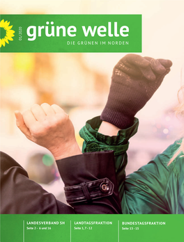 Download Grüne Welle Ausgabe 2020/01