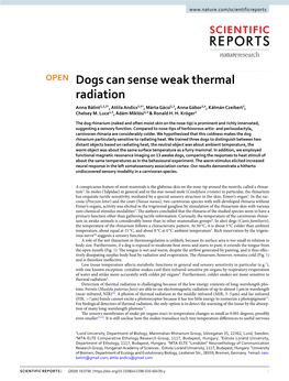 Dogs Can Sense Weak Thermal Radiation Anna Bálint1,2,3*, Attila Andics3,4*, Márta Gácsi2,3, Anna Gábor3,4, Kálmán Czeibert3, Chelsey M