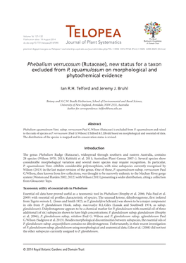 Phebalium Verrucosum (Rutaceae), New Status for a Taxon Excluded from P