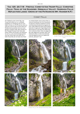 Christine Falls - Trail of the Shadows - Nisqually Valley - Narrada Falls - Reflection Lakes - Grove of the Patriarchs (Mt