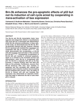 Brn-3B Enhances the Pro-Apoptotic Effects of P53 but Not Its Induction of Cell Cycle Arrest by Cooperating in Trans-Activation of Bax Expression Vishwanie S