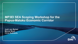 MP3EI SEA Scoping Workshop for the Papua-Maluku Economic Corridor