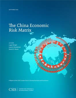 The China Economic Risk Matrix
