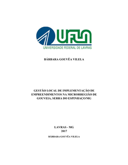 Bárbara Gouvêa Vilela Gestão Local De Implementação De