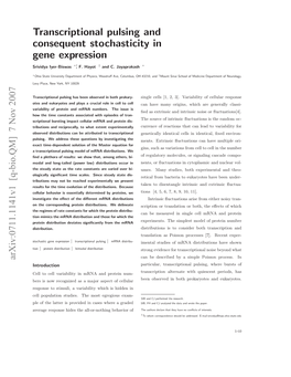 Transcriptional Pulsing and Consequent Stochasticity in Gene Expression