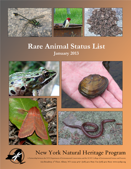 Rare Animal Status List January 2013