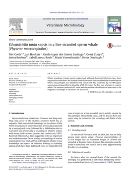 Edwardsiella Tarda Sepsis in a Live-Stranded Sperm Whale