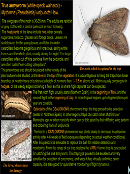 Mythimna (Pseudaletia) Unipuncta Haw. the Wingspan of the Moth Is 30-35 Mm