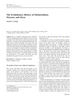 The Evolutionary History of Ehrhartoideae, Oryzeae, and Oryza
