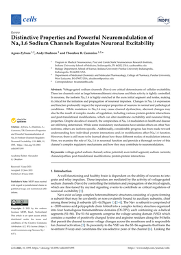 Distinctive Properties and Powerful Neuromodulation of Nav1.6 Sodium Channels Regulates Neuronal Excitability