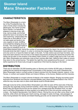 Manx Shearwater Factsheet