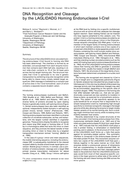 DNA Recognition and Cleavage by the LAGLIDADG Homing Endonuclease I-Crei