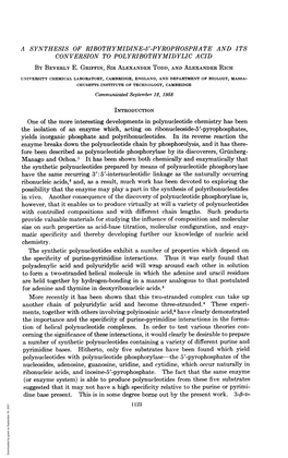 The Synthetic Polynucleotides Prepared by Means of Polynucleotide Phosphorylase Possibility That the Enzyme May Play a Part in T