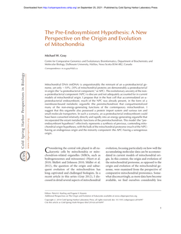 The Pre-Endosymbiont Hypothesis: a New Perspective on the Origin and Evolution of Mitochondria