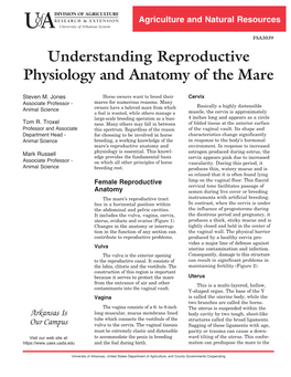 Reproductive Physiology and Anatomy of the Mare