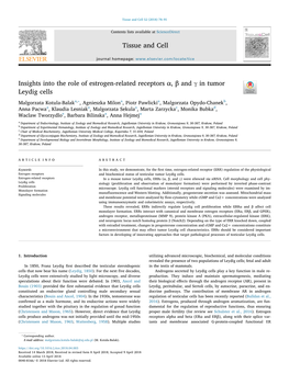 Insights Into the Role of Estrogen-Related Receptors ￃﾎￂﾱ, ￃﾎￂﾲ and ￃﾎ