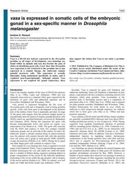 Vasa Is Expressed in Somatic Cells of the Embryonic Gonad in a Sex-Specific Manner in Drosophila Melanogaster