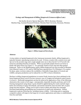 Ecology and Management of Diffuse Knapweed (Centaurea Diffusa Lam.)