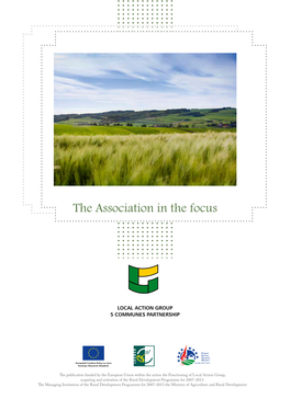 The Association in the Focus