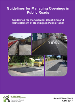 Guidelines for Managing Openings in Public Roads