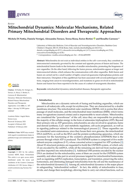 Mitochondrial Dynamics: Molecular Mechanisms, Related Primary Mitochondrial Disorders and Therapeutic Approaches
