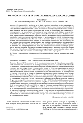 Cycle Molts in North American Falconiformes