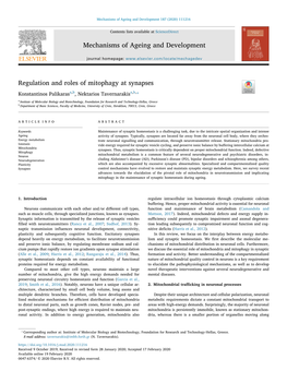 Regulation and Roles of Mitophagy at Synapses