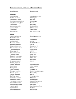 Plants for Heavy Frost, Water-Wise and Nectar Producers