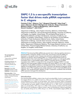 SNPC-1.3 Is a Sex-Specific Transcription Factor That Drives Male Pirna Expression in C