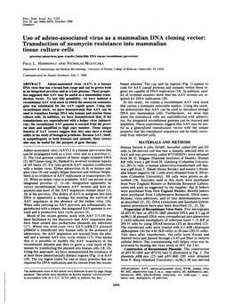 Use of Adeno-Associated Virus As a Mammalian DNA Cloning Vector