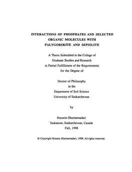 Organic Molecules with Palygorskite and Sepiolite