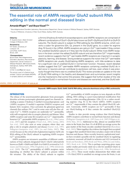 The Essential Role of AMPA Receptor Glua2 Subunit RNA Editing in the Normal and Diseased Brain