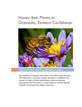 Honey Bee Plants in Grenada, Eastern Caribbean