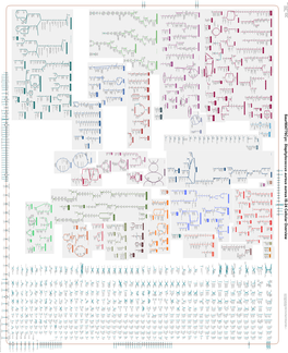 Generated by SRI International Pathway Tools Version 25.0, Authors S