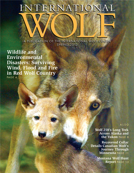 Wildlife and Environmental Disasters: Surviving Wind, Flood and Fire in Red Wolf Country PAGE 4