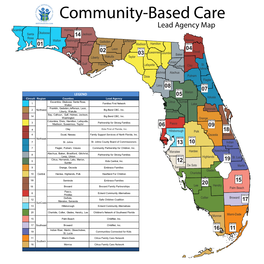 Community- Based Care Lead Agency