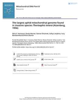 The Largest Aphid Mitochondrial Genome Found in Invasive Species Therioaphis Tenera (Aizenberg, 1956)