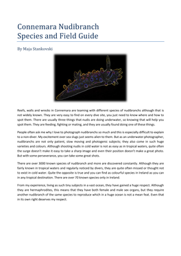 Connemara Nudibranch Species and Field Guide