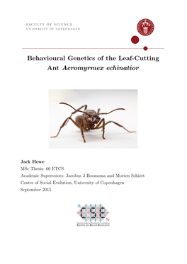 Behavioural Genetics of the Leaf-Cutting Ant Acromyrmex Echinatior