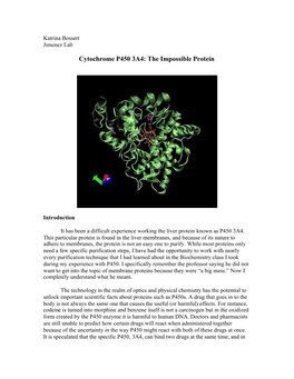 Cytochrome P450 3A4: the Impossible Protein