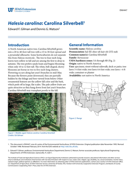 Halesia Carolina: Carolina Silverbell1 Edward F