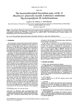 The Bacteriochlorophyll Biosynthesis Gene, Bchm, of Rhodobacter Sphaeroides Encodes S-Adenosyl+Methionine: Mg Protoporphyrin IX Methyltransferase