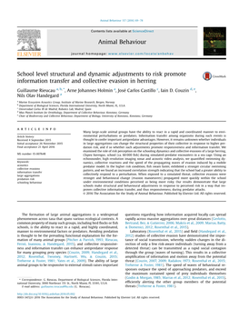 School-Level Structural and Dynamic Adjustments to Perceived Risk