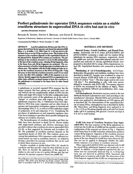 Perfect Palindromic Lac Operator DNA Sequence Exists As a Stable