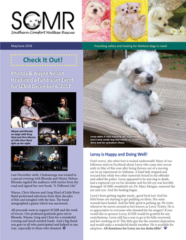 May/June 2018 Providing Safety and Healing for Maltese Dogs in Need