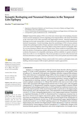 Synaptic Reshaping and Neuronal Outcomes in the Temporal Lobe Epilepsy