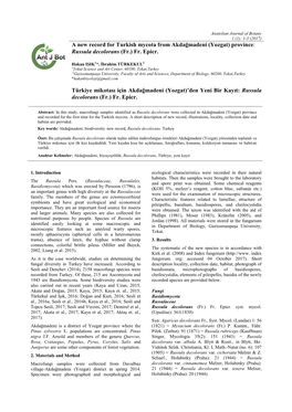 A New Record for Turkish Mycota from Akdağmadeni (Yozgat) Province: Russula Decolorans (Fr.) Fr