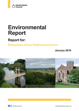 Bishopstone Group Environmental Report January 2019