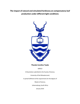 The Impact of Natural and Simulated Herbivory on Compensatory Leaf Production Under Different Light Conditions